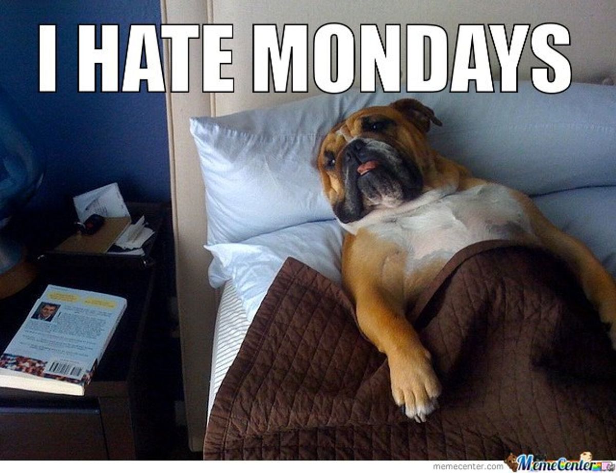 The Best Monday Memes To Get You Through The Week