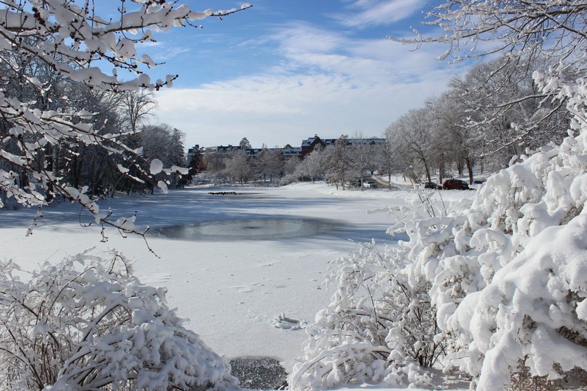 Iowa State University: A Stunning Winter Campus