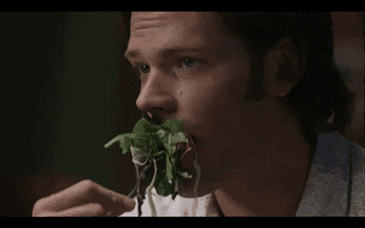 Week One Of Your Summer Diet As Told By GIFs