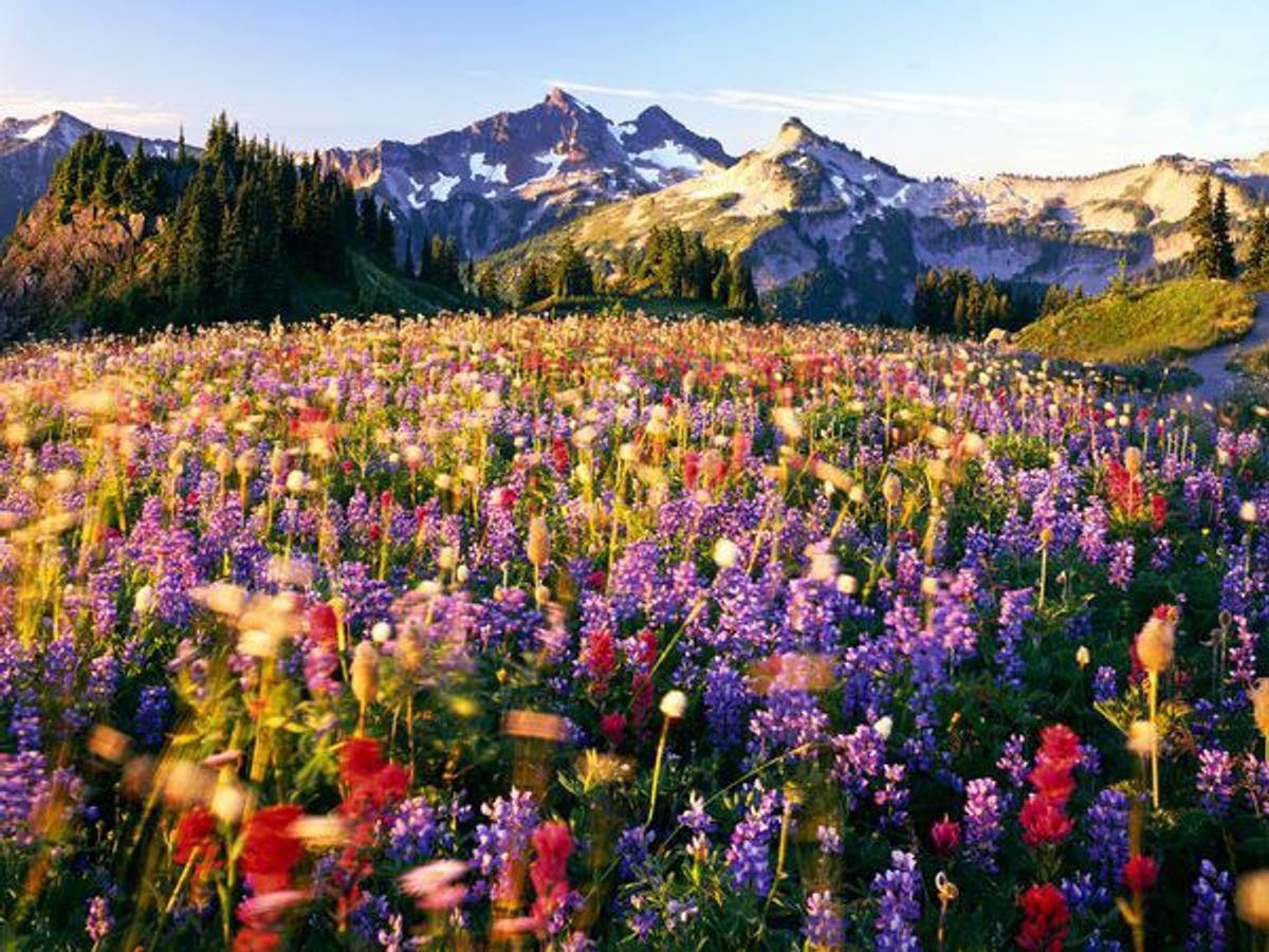 top-10-national-parks-in-the-united-states