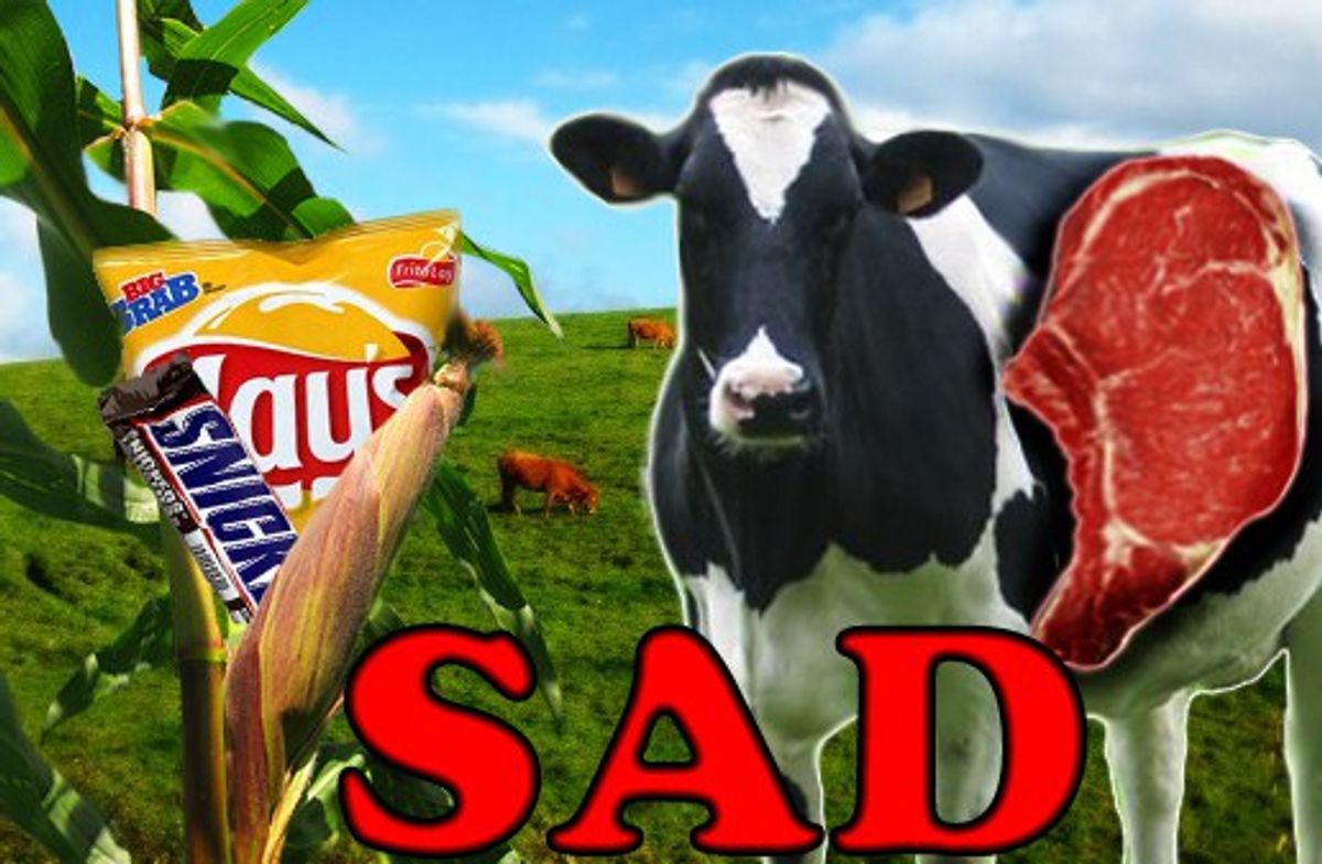 Why The Standard American Diet Is SAD