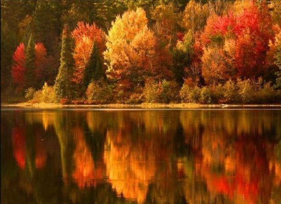 11 Reasons Why Fall Is The Best Season