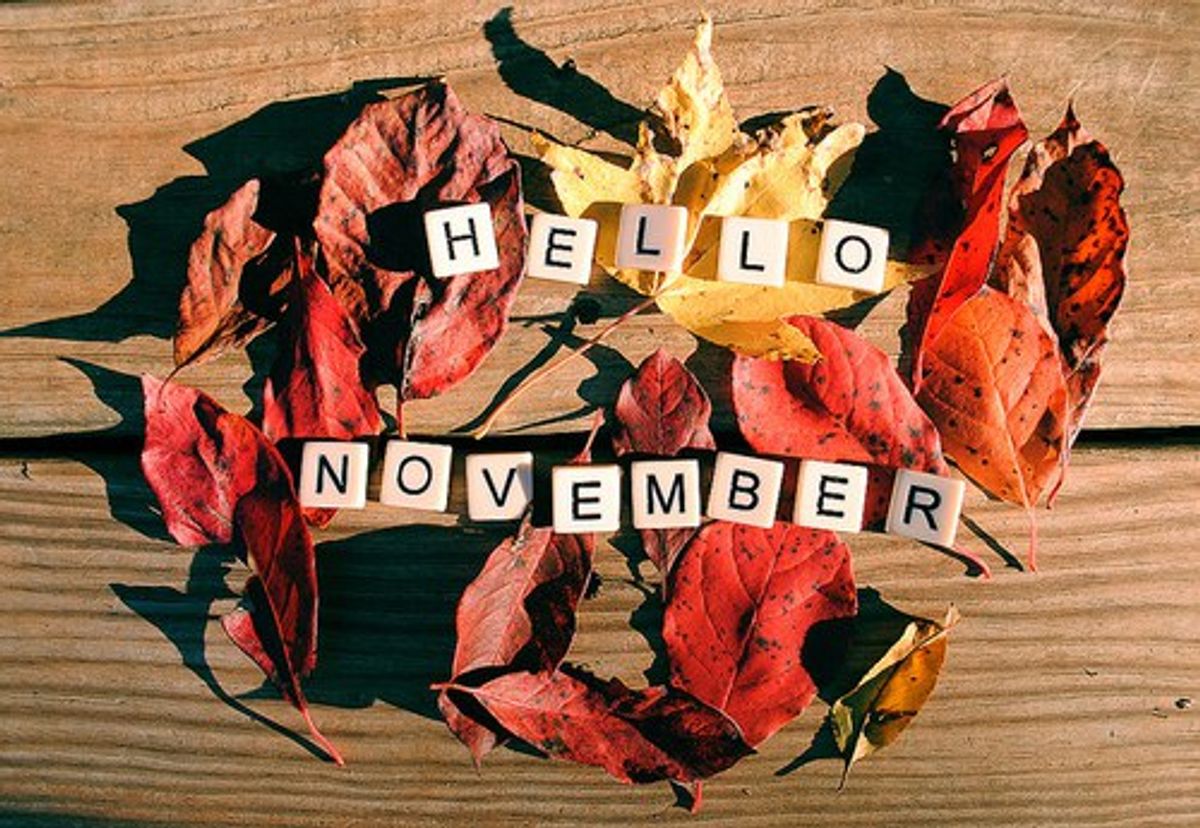 5 Reasons To Celebrate In November 5 Reasons To Celebrate In November