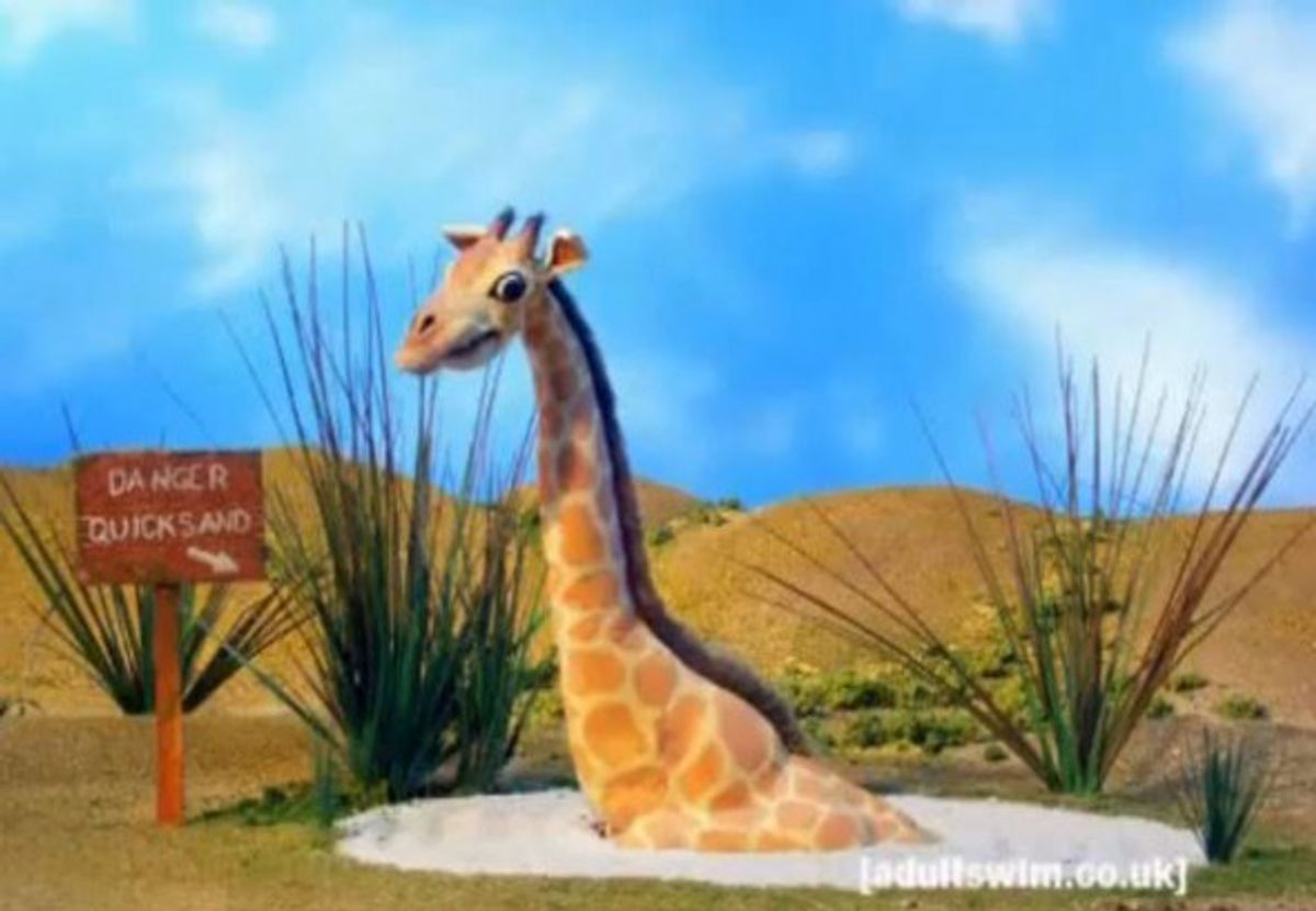 Finals As Told By Giraffe Finals As Told By Giraffe