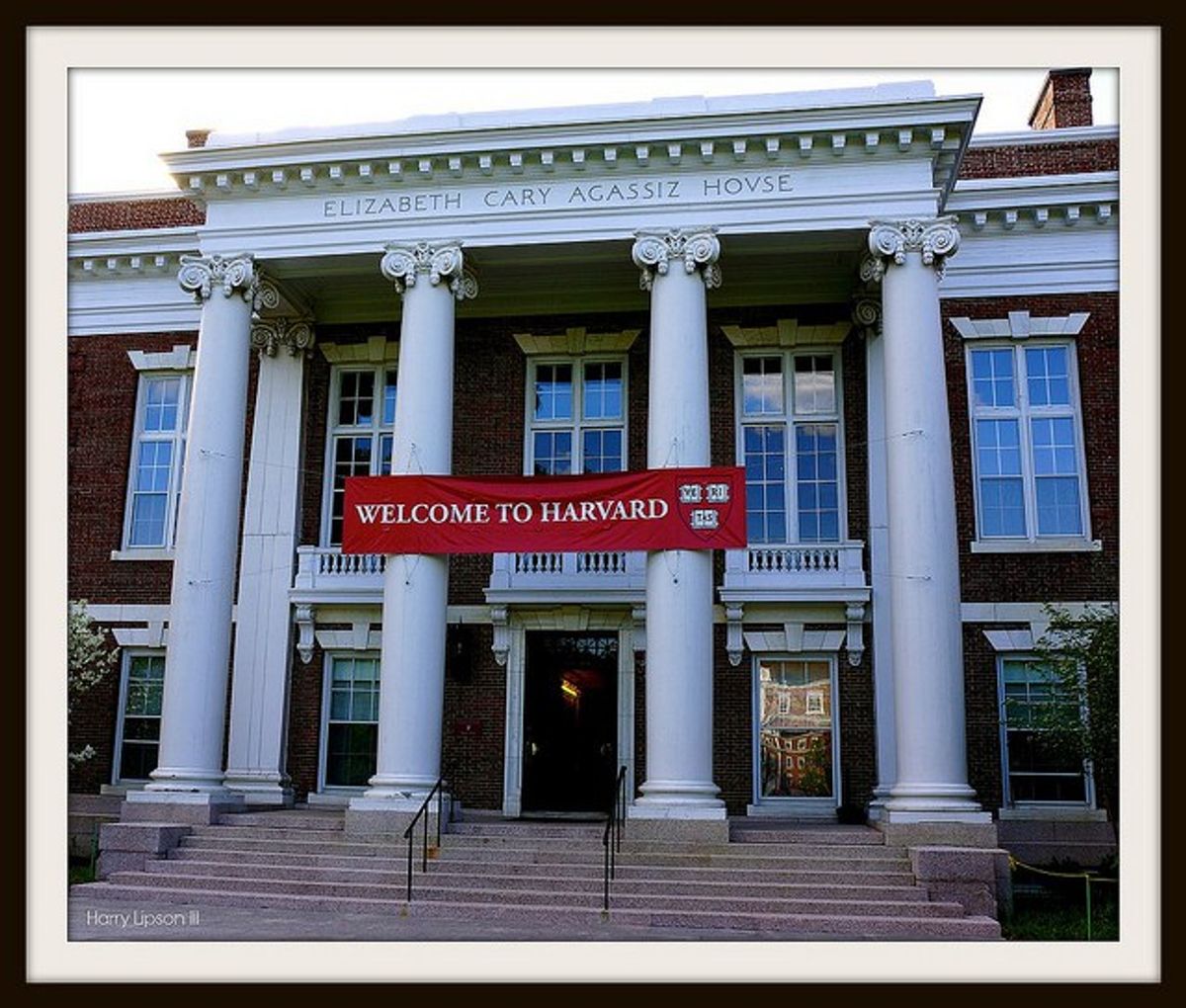 An Open Letter To The Harvard Class Of 2020 Early Admits an-open-letter-to-the-harvard-class-of-2020-early-admits