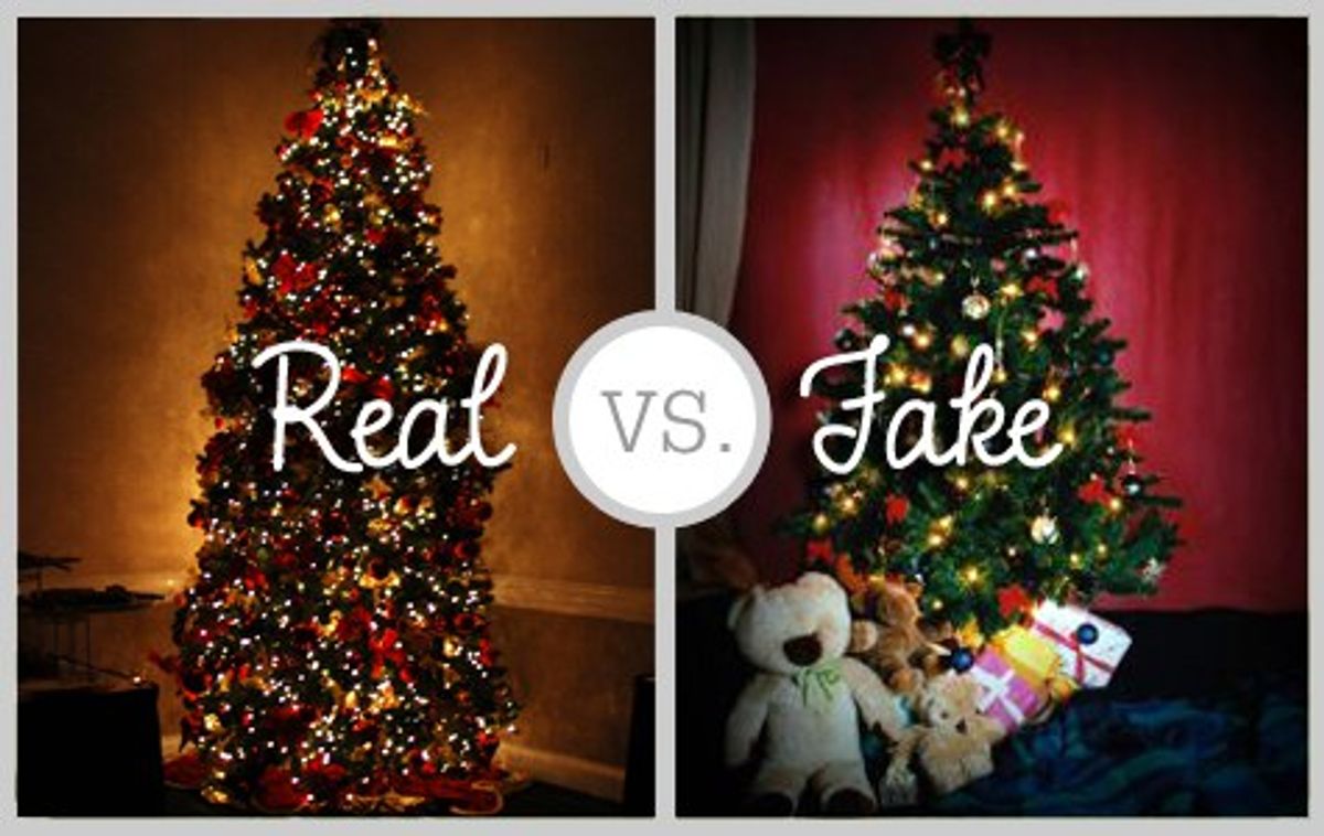 Real vs. Fake Christmas Trees The Controversy