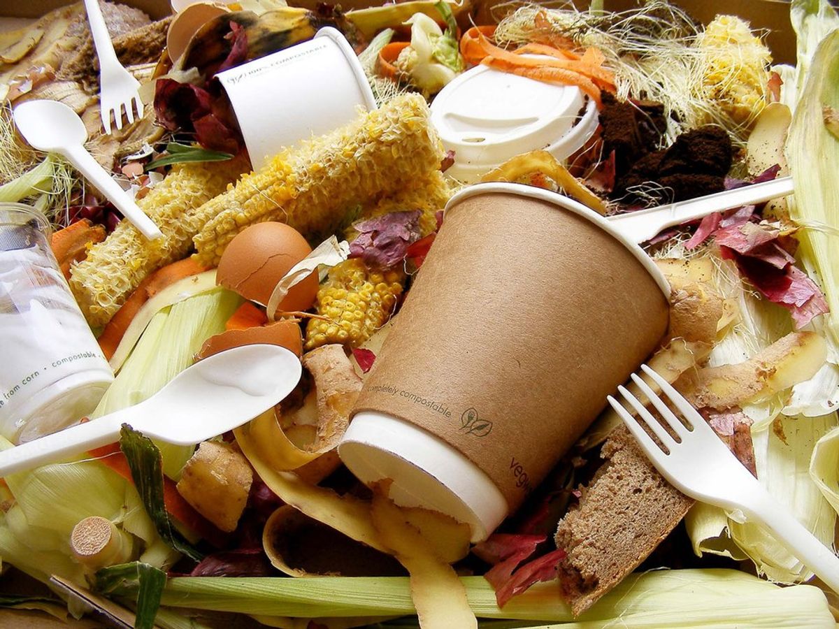 Don't Just Eat Less This New Year, Waste Less, Too