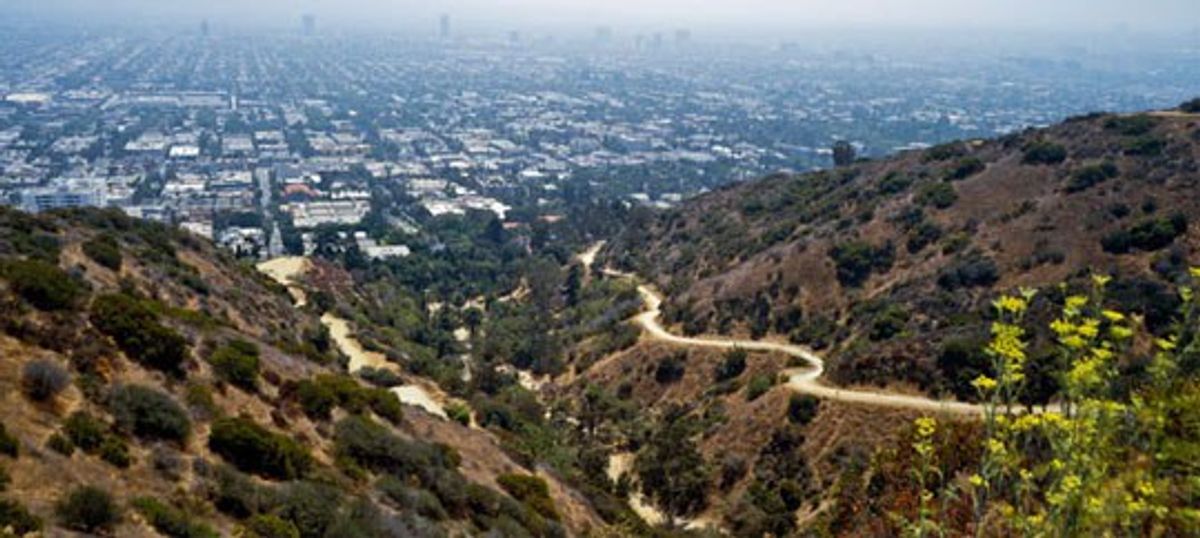 The Best Hikes In Los Angeles (Not Just For Celebrities And Sorority Girls)