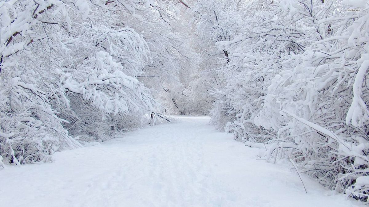 5 Thoughts Everyone Has When Expecting Snow