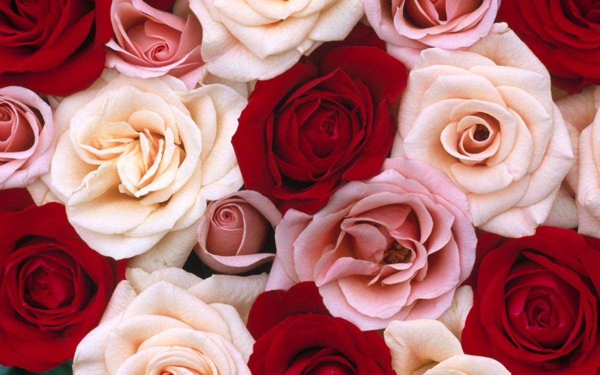 A Letter To The People That Take Valentines Day Too Seriously