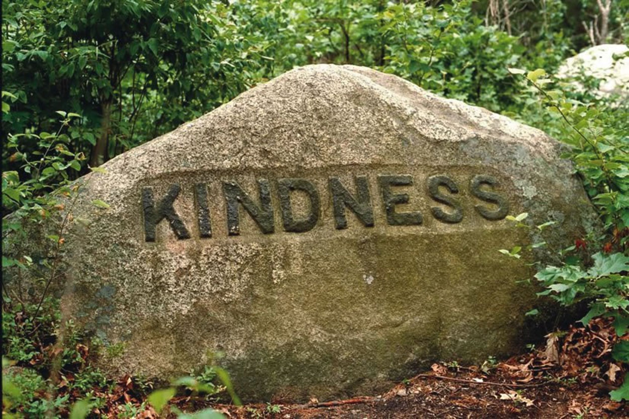 The Importance Of Kindness In A Society That Is Lacking