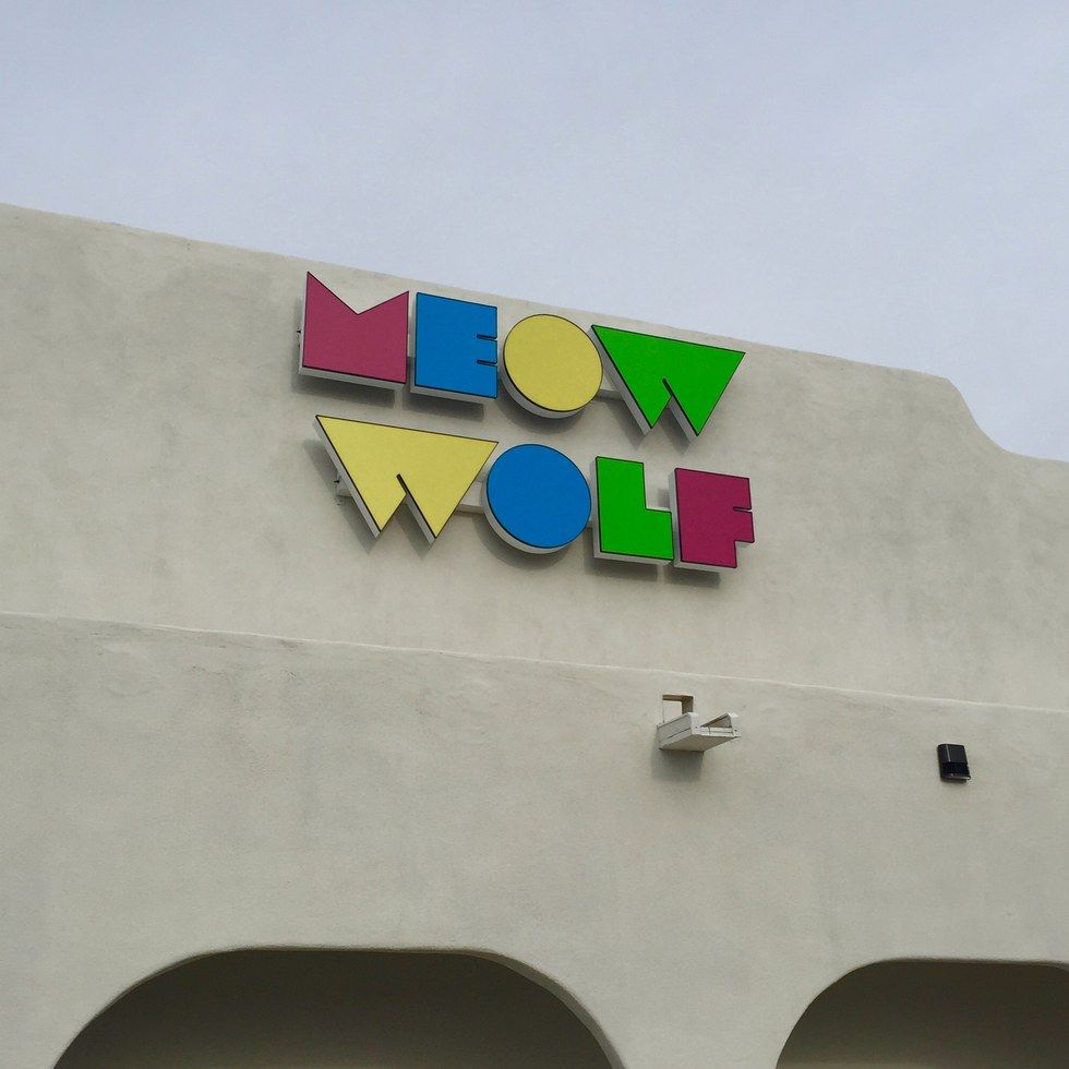 area 15 meow wolf