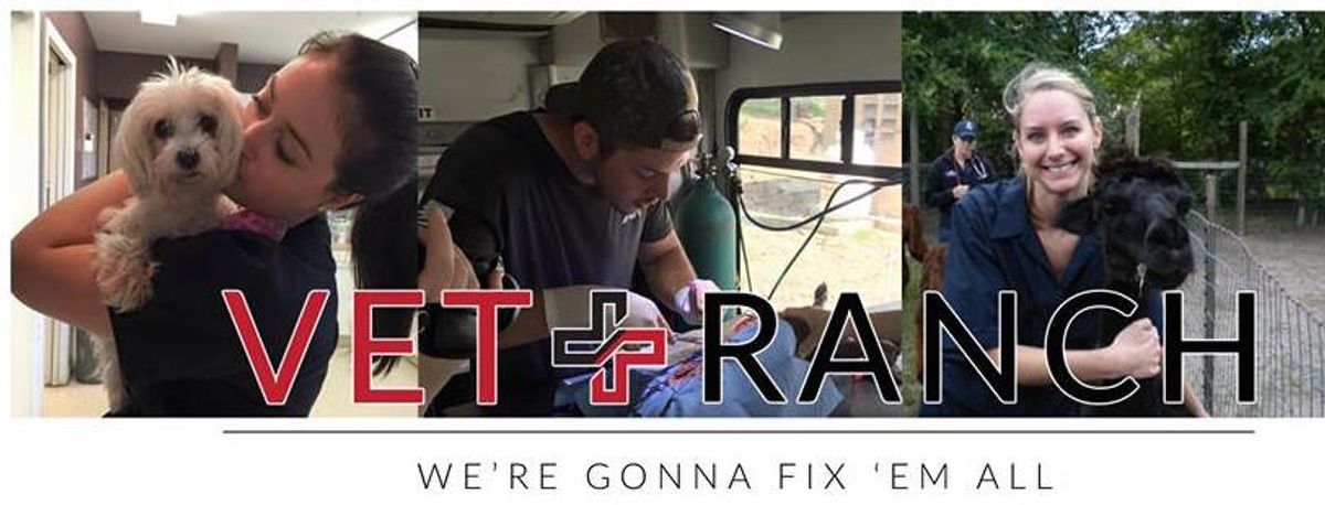 YouTube Channel And Non-Profit "Vet Ranch" Is Going To Fix Them All