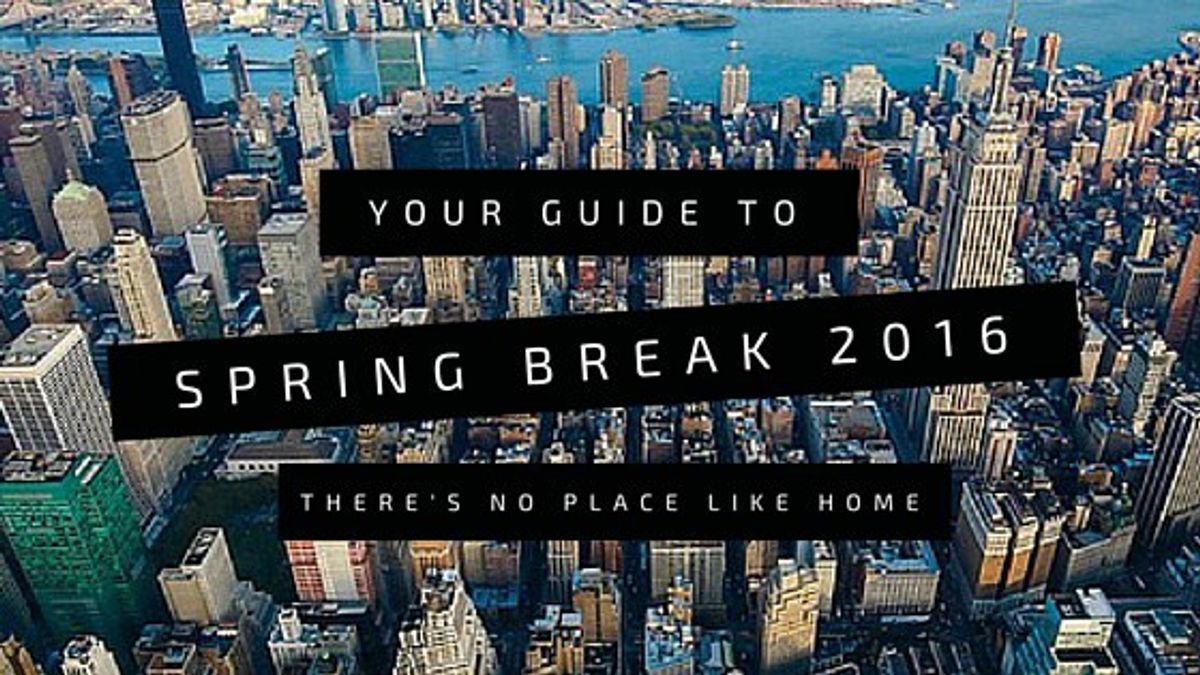 Your LastMinute Spring Break Guide New York City