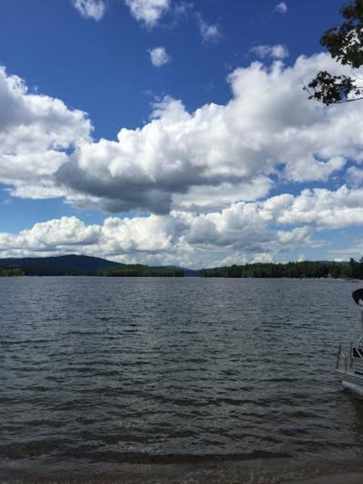 8 Reasons Why You Should Be A Camp Counselor