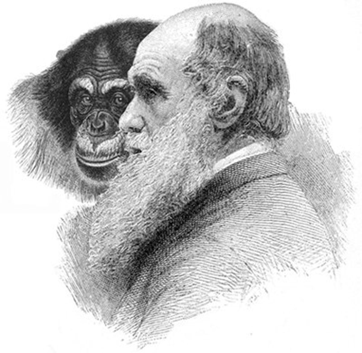 Was Darwin Racist?