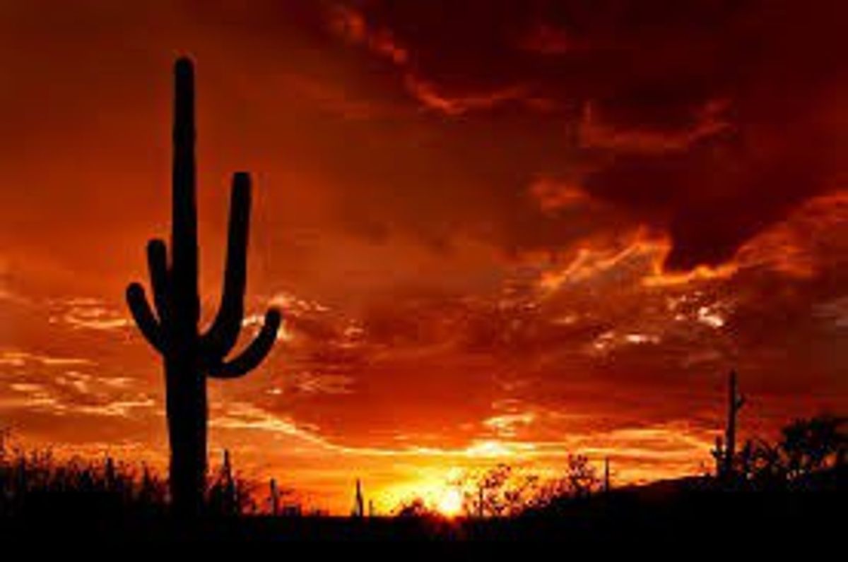 7 Reasons That Will Assure You That Arizona Sucks