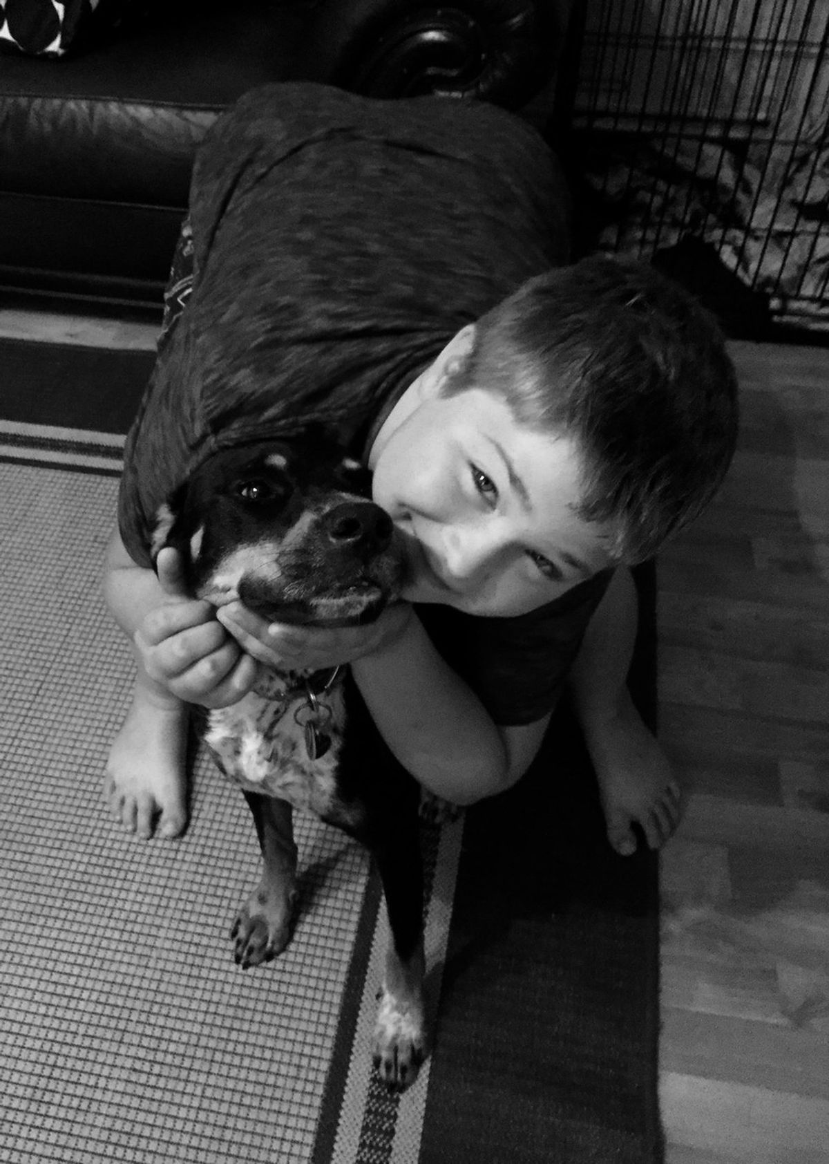 Reasons Every Kid Should Have A Pet/Loved Having One