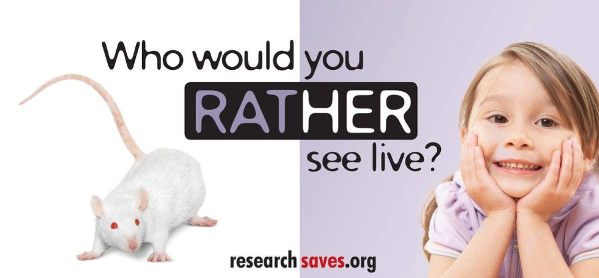 Animal Testing Alternatives