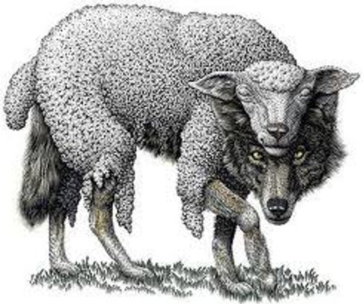 Beware Of  Wolves In Sheep's Clothing