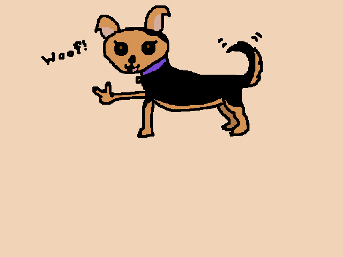 Second Leash On Life