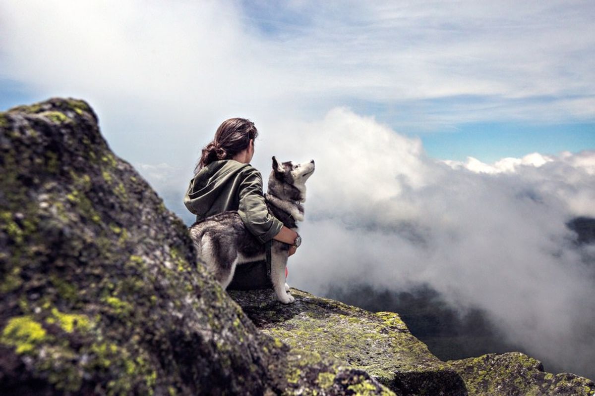 10 Reasons Why Dogs Are A Woman's Best Friend