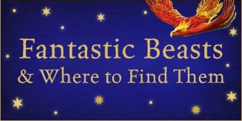 Harry Potter: The Prequel 'Fantastic Beasts And Where To Find Them'