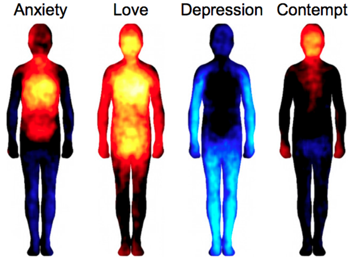 Emotions Affect Body Temperature
