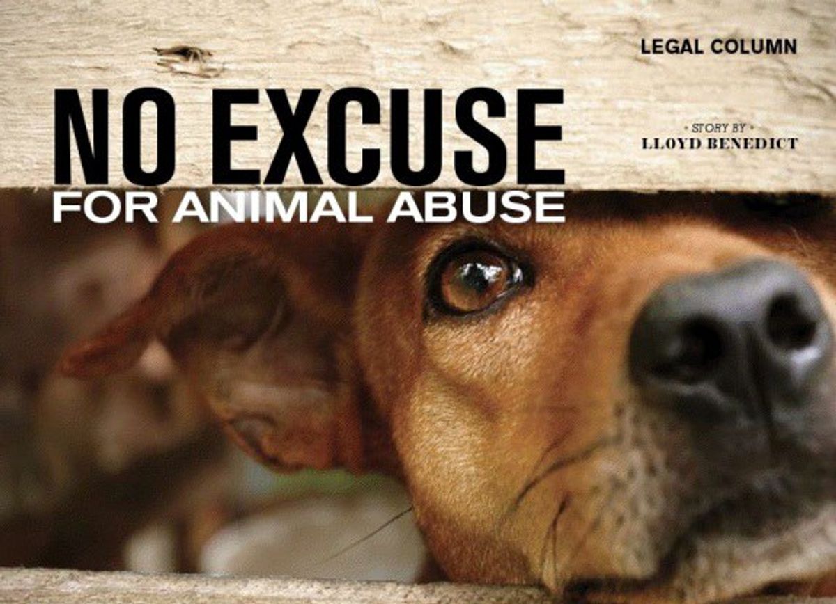 Animal Cruelty Is An Injustice That Is Finally Being Taken More Seriously 