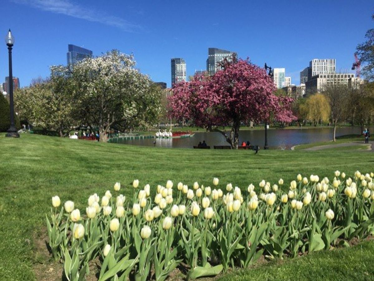 11 Signs It's Spring In Boston Common & Public Garden