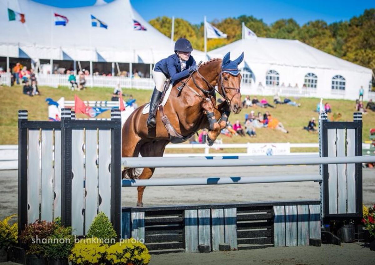 A Beginner's Guide To ThreeDay Eventing