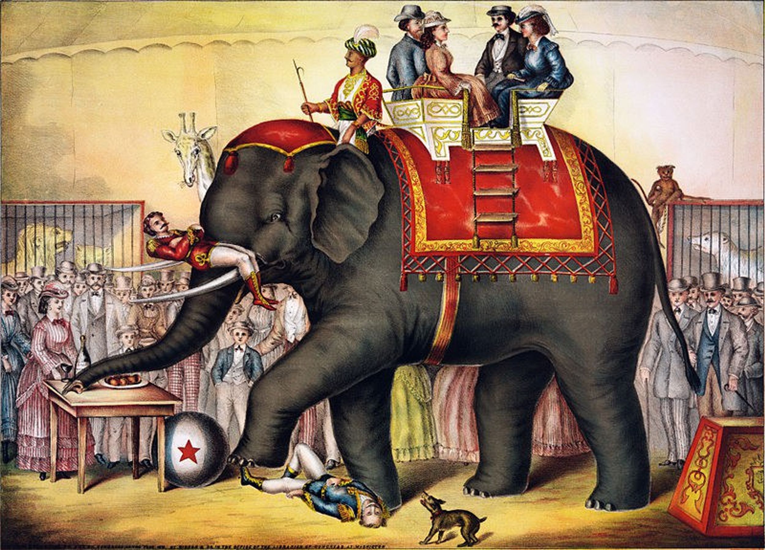A Dark And Fast History Of Elephants In The Circus