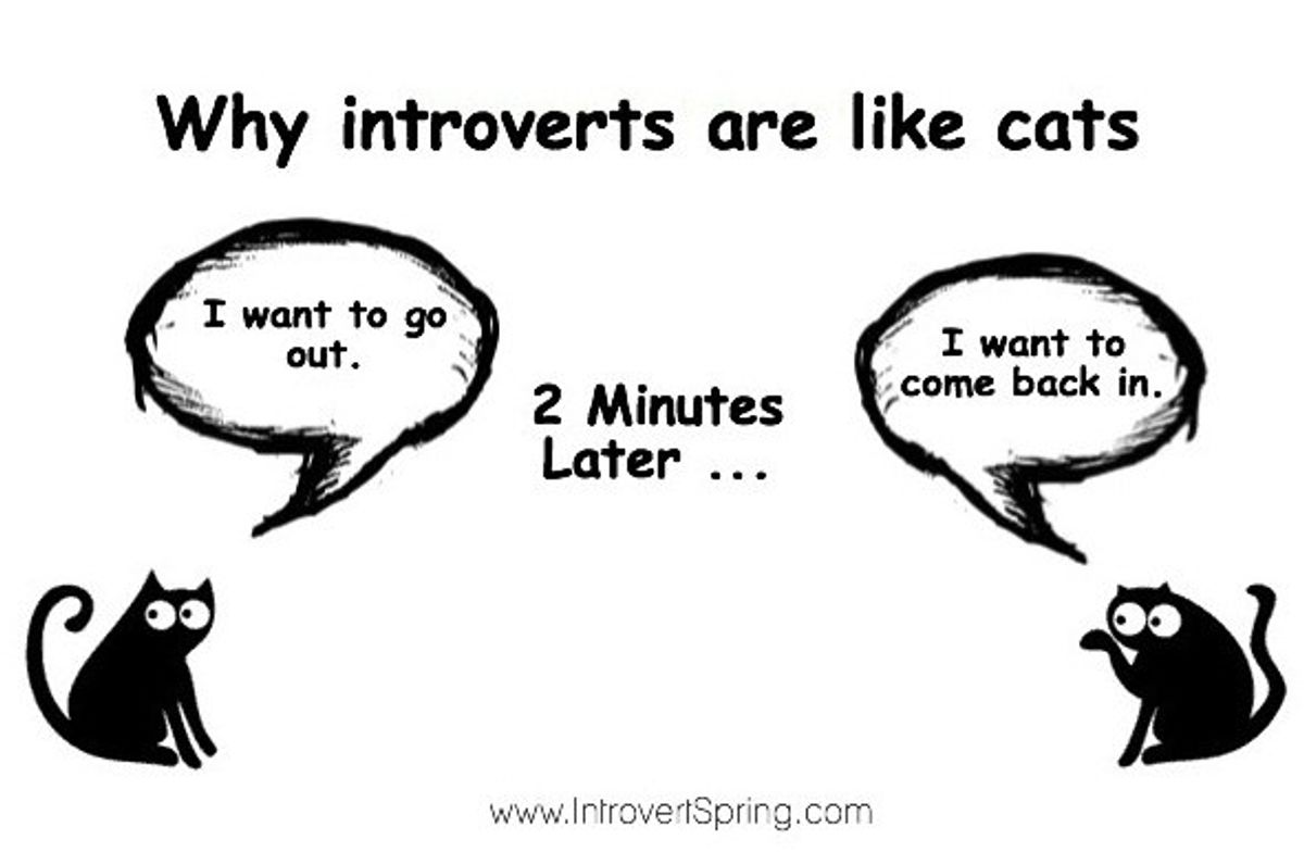 A Letter From an Introvert