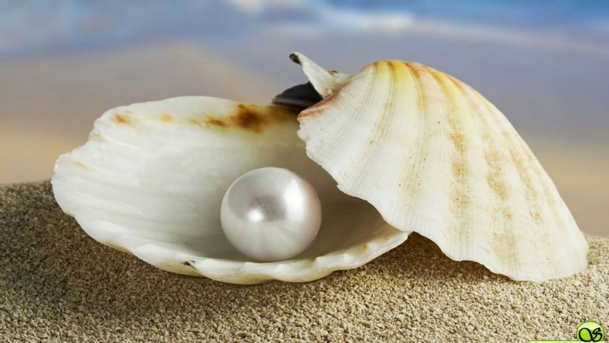 The World Is Not Your Oyster And You Are Not A Pearl