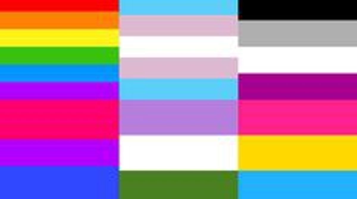 5 Gender Sexuality Flags You Need To Know
