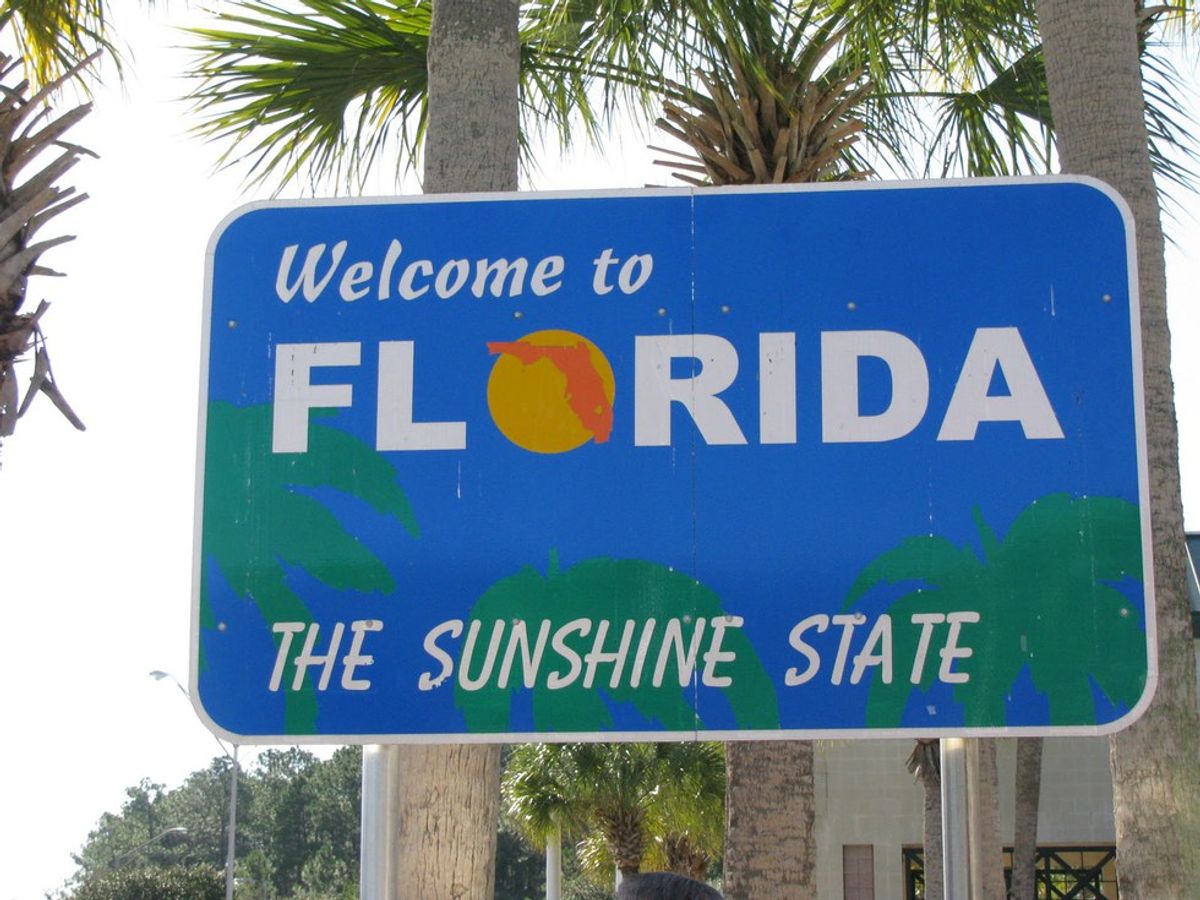 Top 8 Things I Don't Miss About Living In Florida