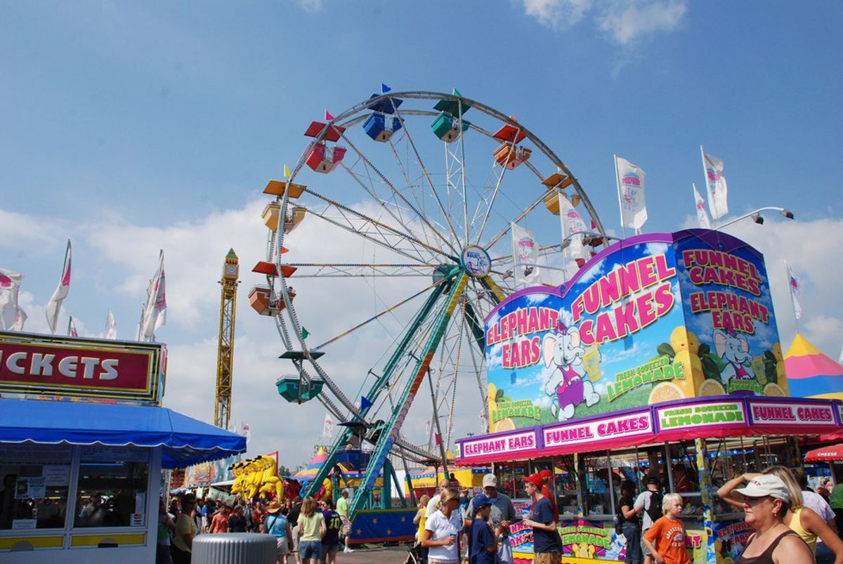 10 Reasons You Should go to Your Local County 4H Fair