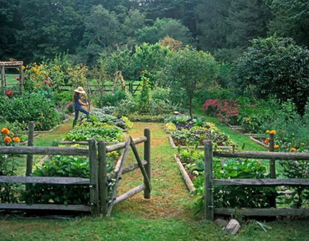 7 Reasons Why Gardening Should Be Your New Hobby