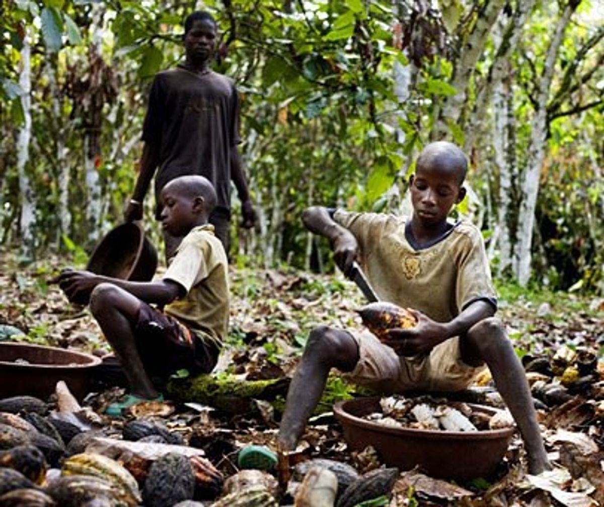 5 Major Chocolate Companies That Use Child Labor