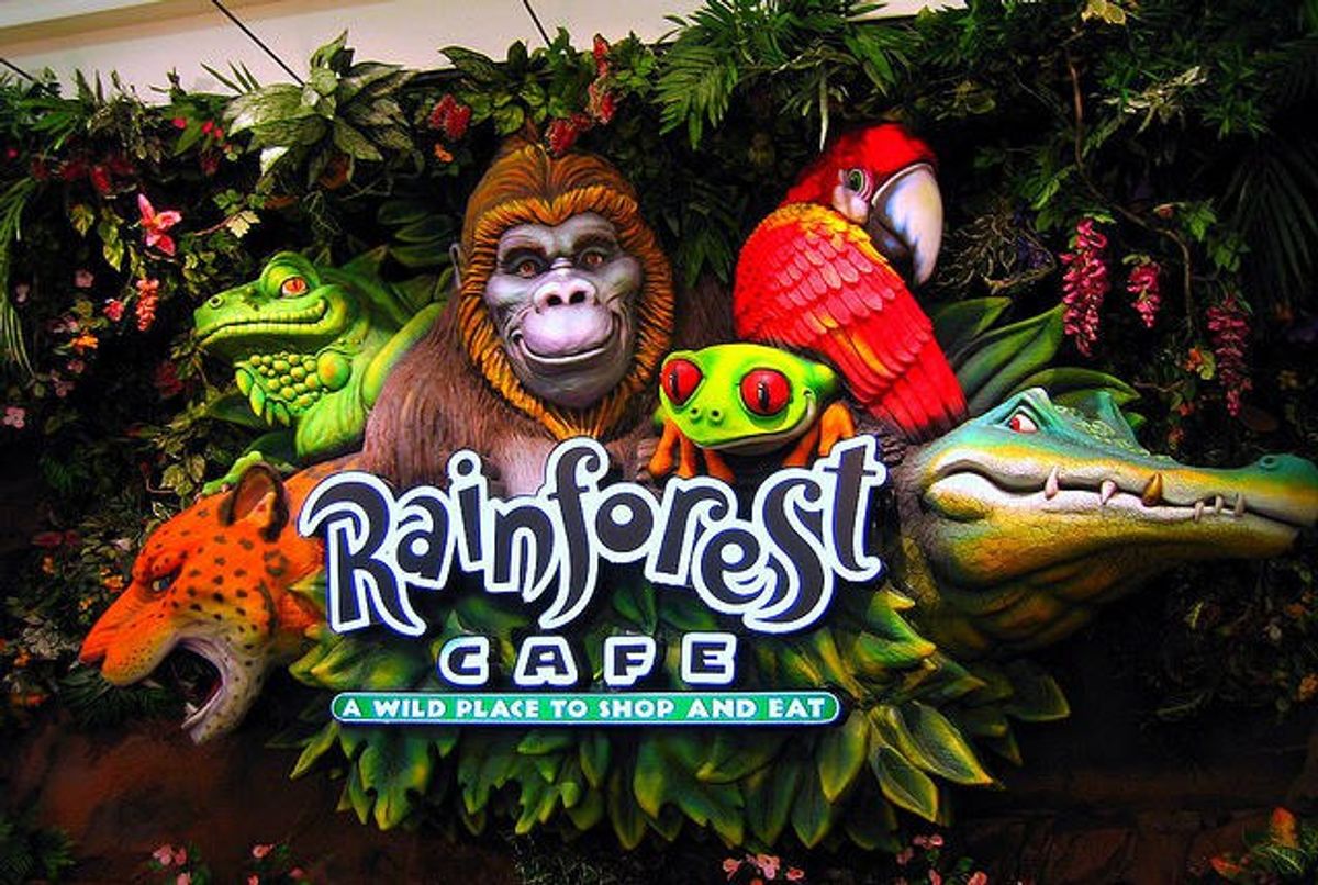 The Rainforest Cafe at Burlington Mall Is Closed And I Am NOT Happy ...