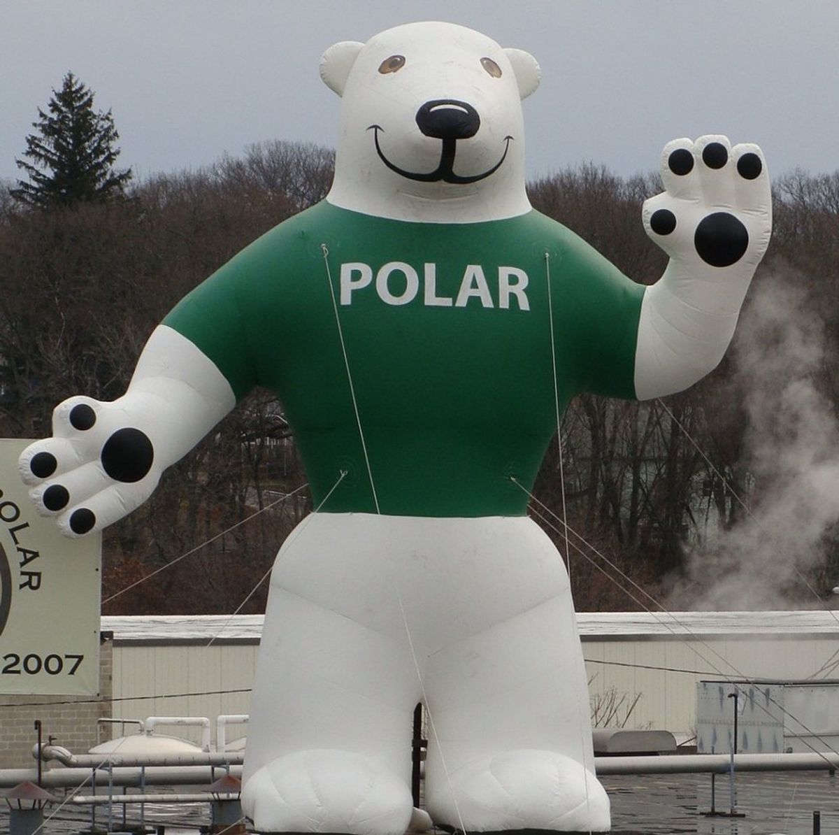 What I've Learned While Working for Polar Beverages