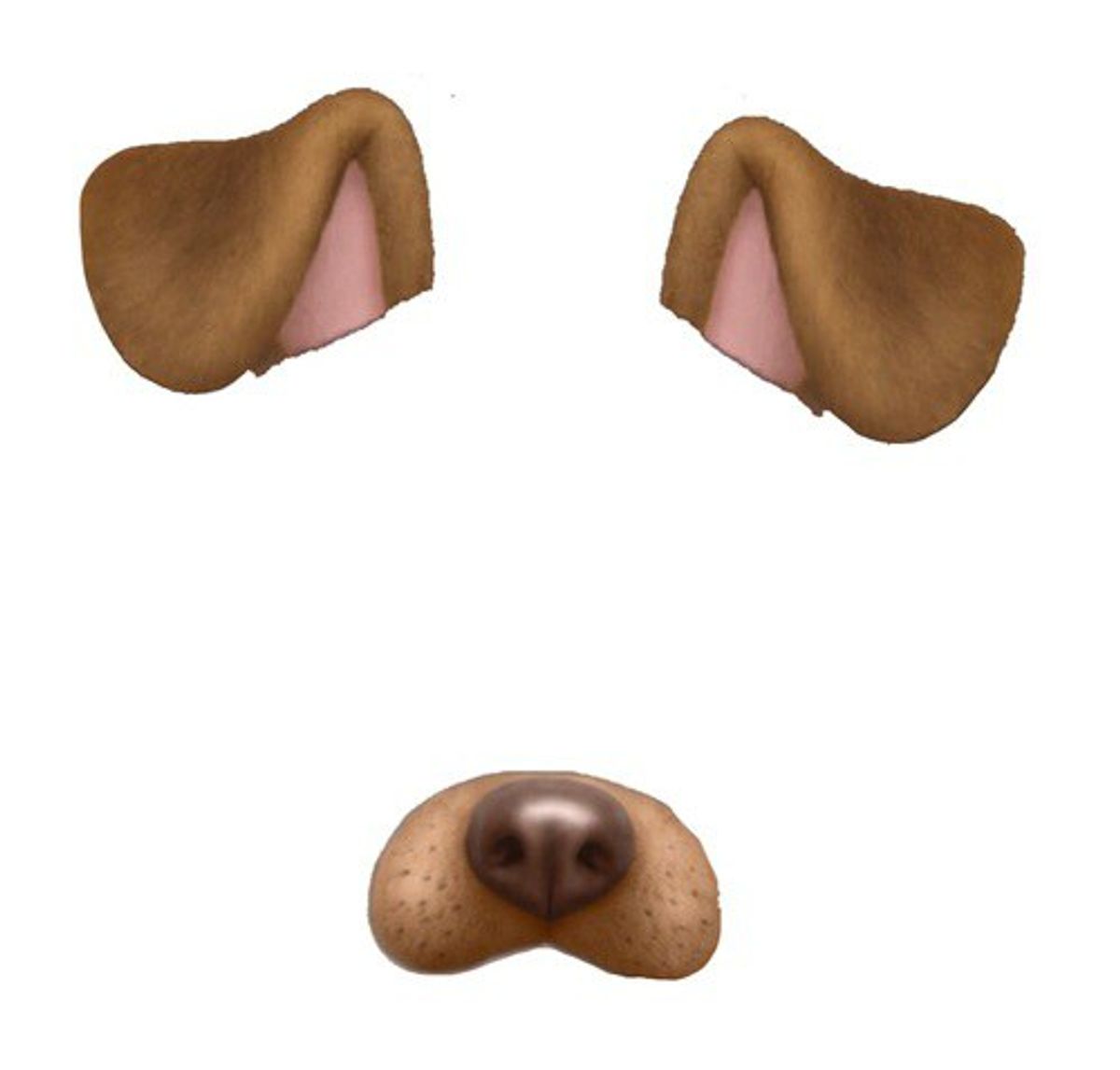 Please Stop Hating The Dog Filter