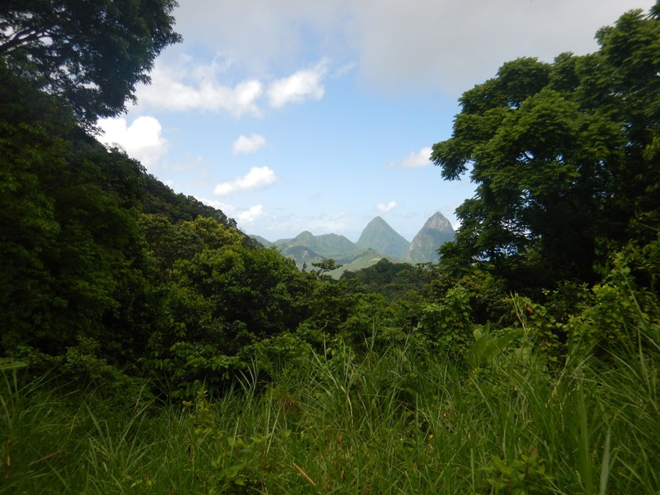 10 Reasons To Visit Saint Lucia