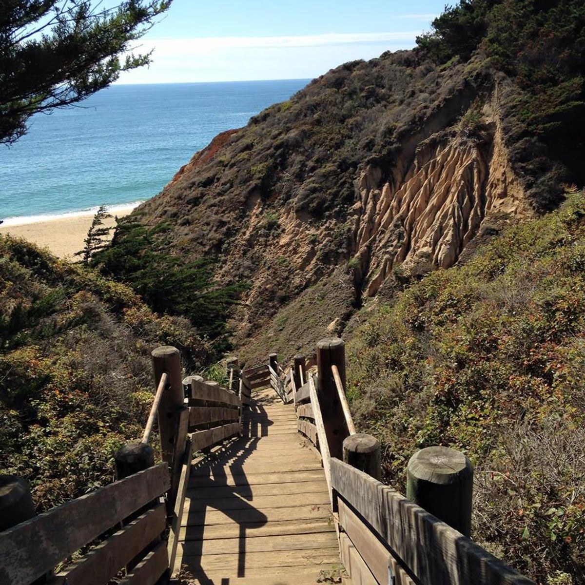 To Those Getting Ready To Fly The Coop