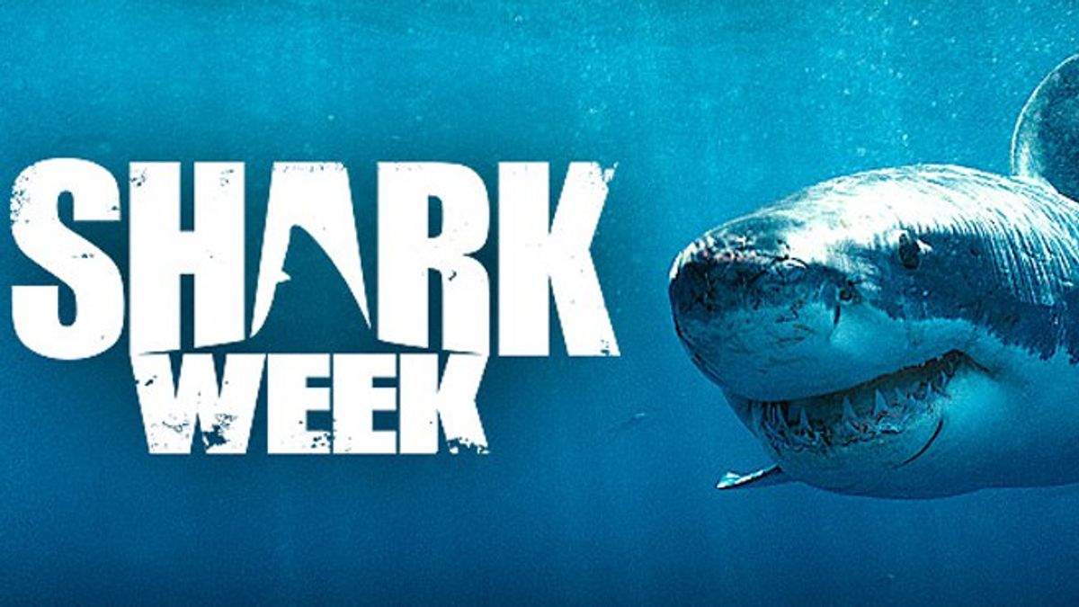 The Best (And Most Shark-tastic) Week Of The Year