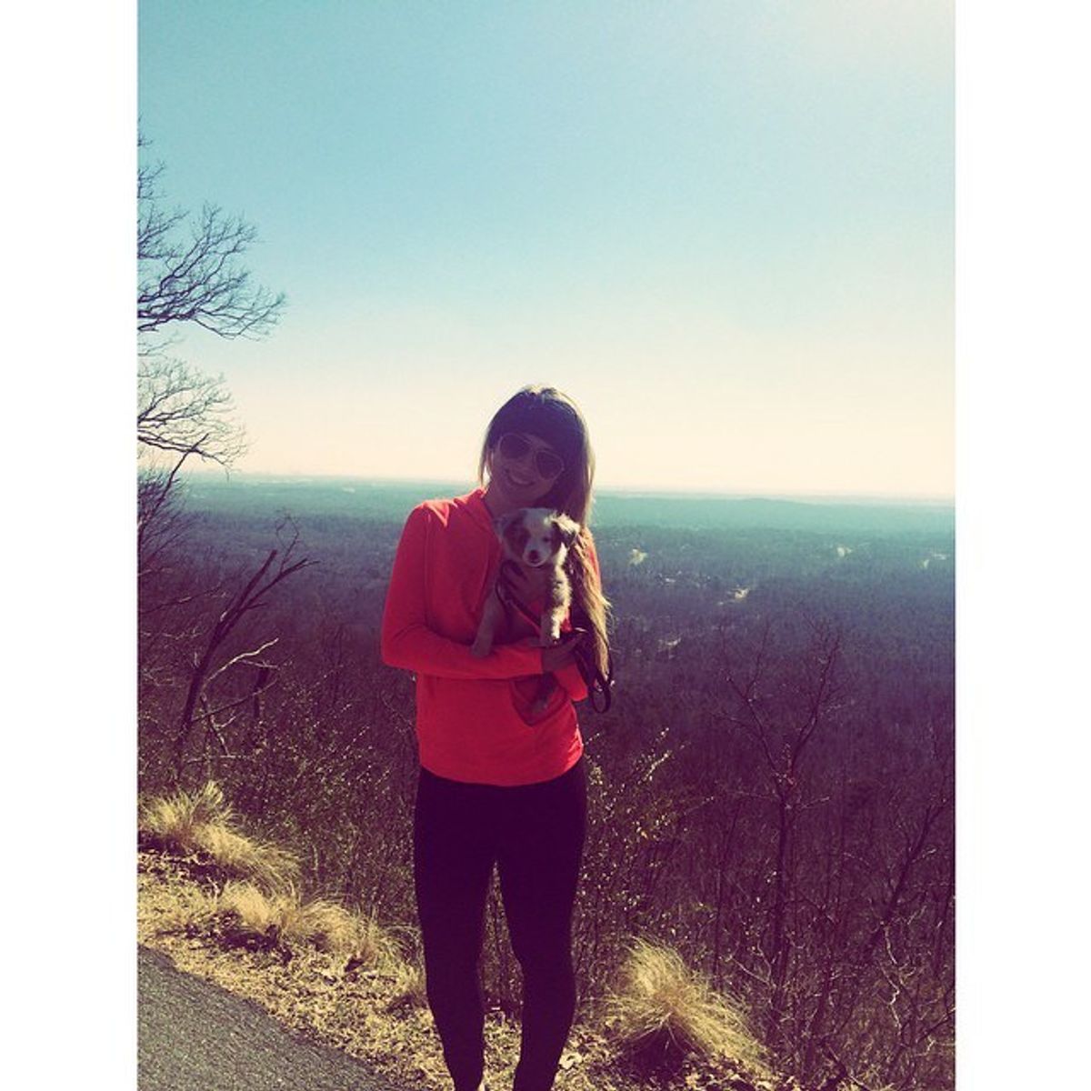 6 Reasons To Get A Dog In College