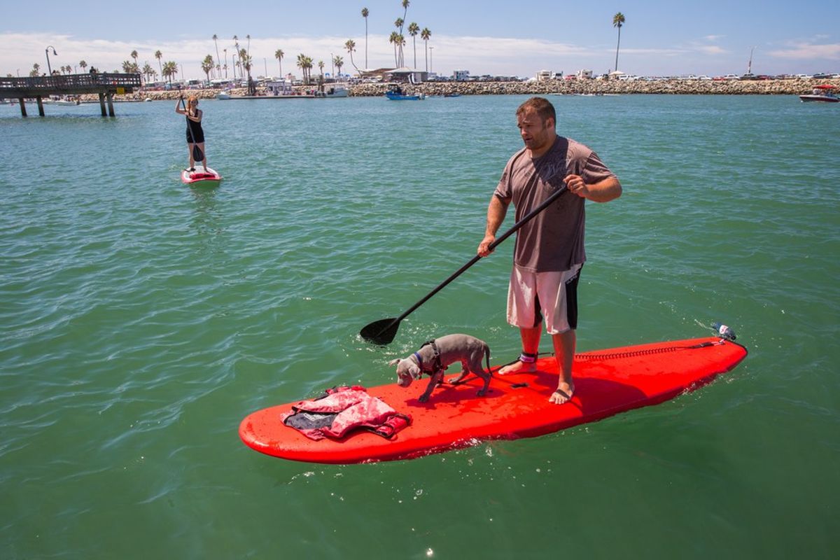 Is A Paddle Board A Boat?