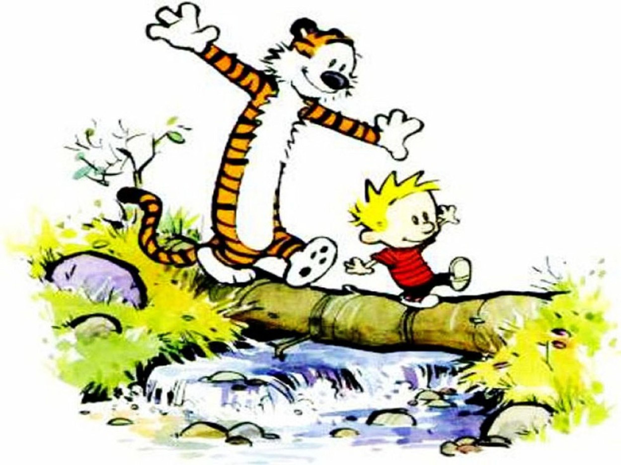The Magical World Of Calvin And Hobbes