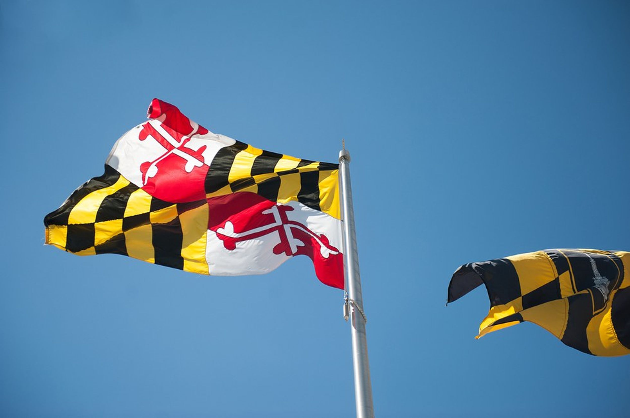 Five Things You Learn Growing Up In Maryland