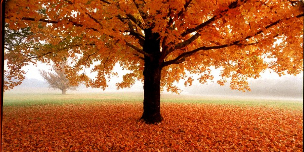 12-reasons-why-fall-is-my-favorite-season